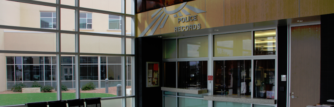 Police Records Counter