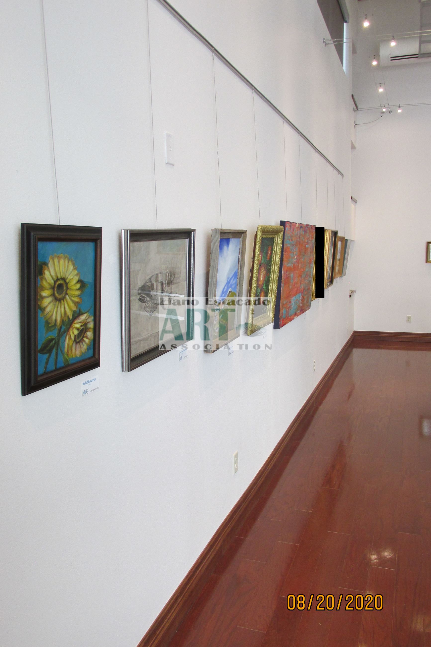 004 North Wall Overview